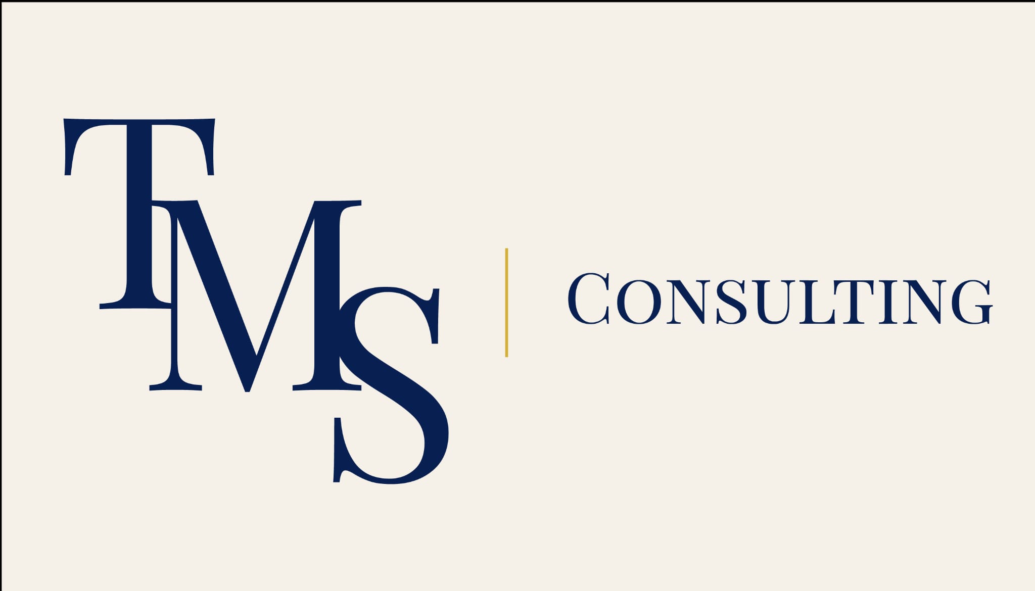TMS Consulting